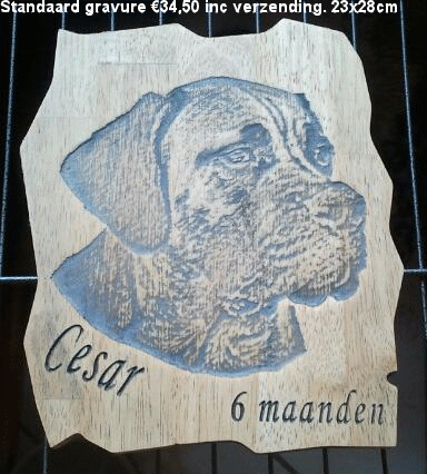 5bedrag